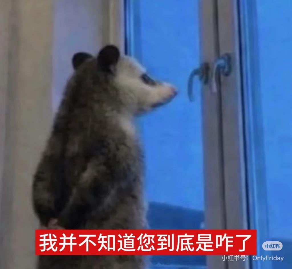 欧坤。这个广东每当哇计划十分钟之后出门 那么十分钟过后大概率就会下雨