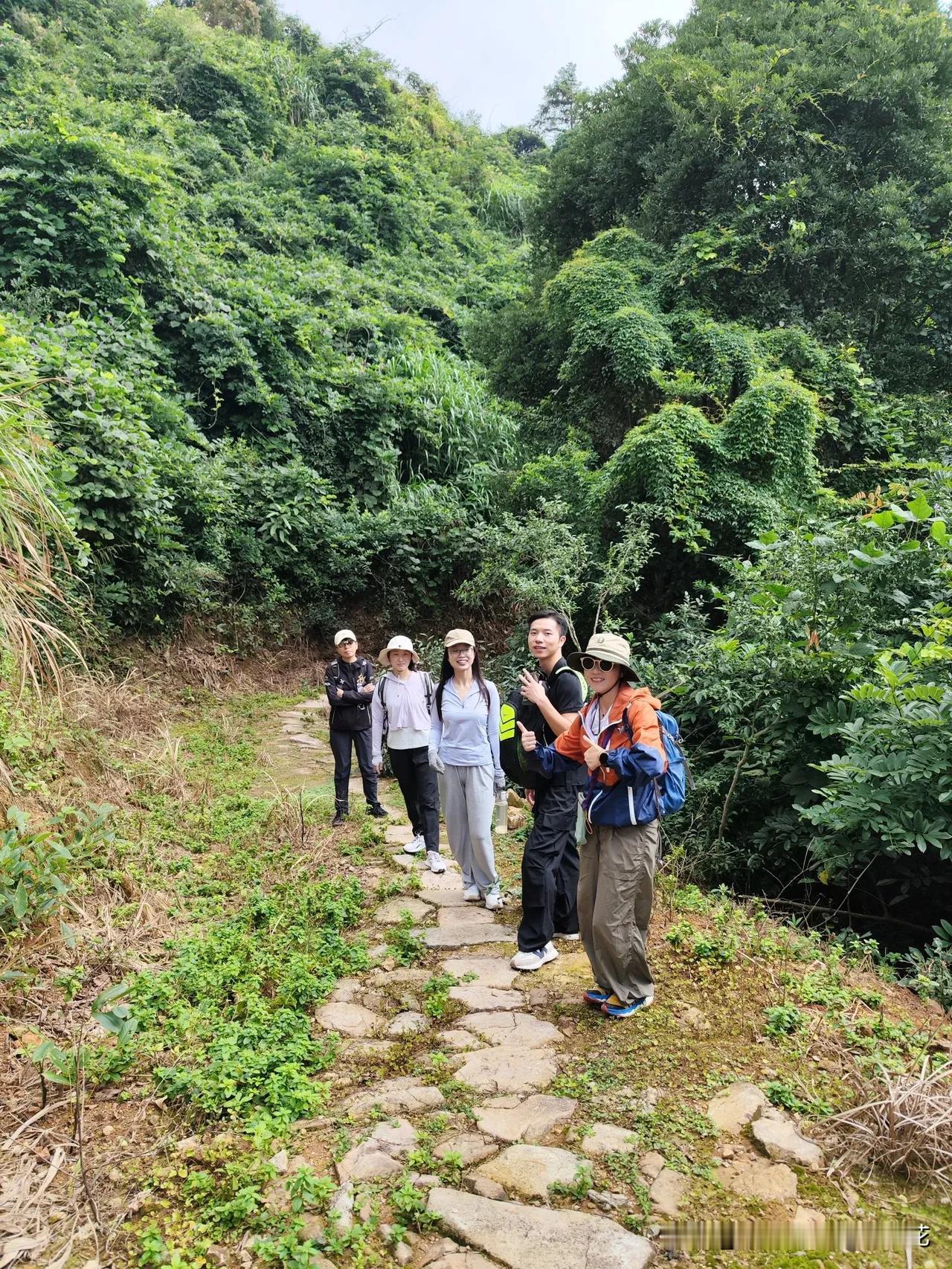 我们也总算是来过连江炉峰山啦 ！！又收获一条有关茶山的徒步路线，可太好了。

路