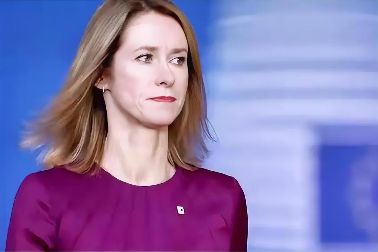 欧盟外长呼吁欧盟成员国团结，还妄称“中美俄都想分裂欧盟”，让人目瞪口呆！

欧盟