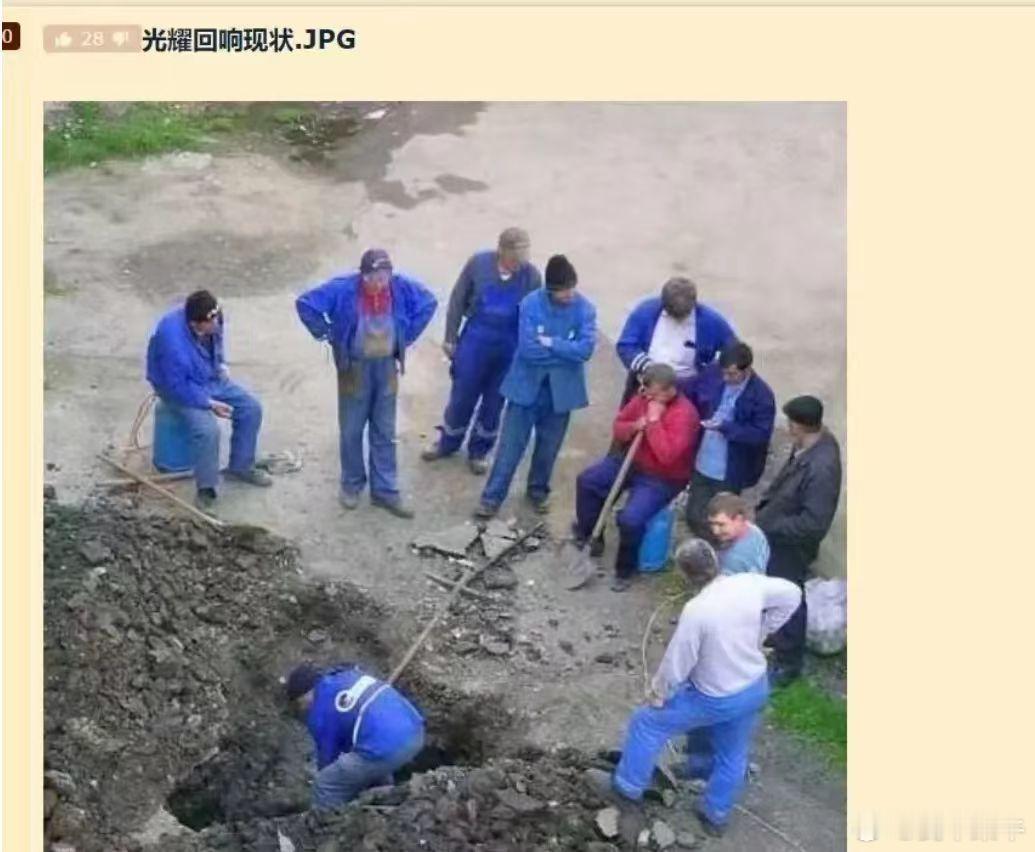 毫无违和 ​​​