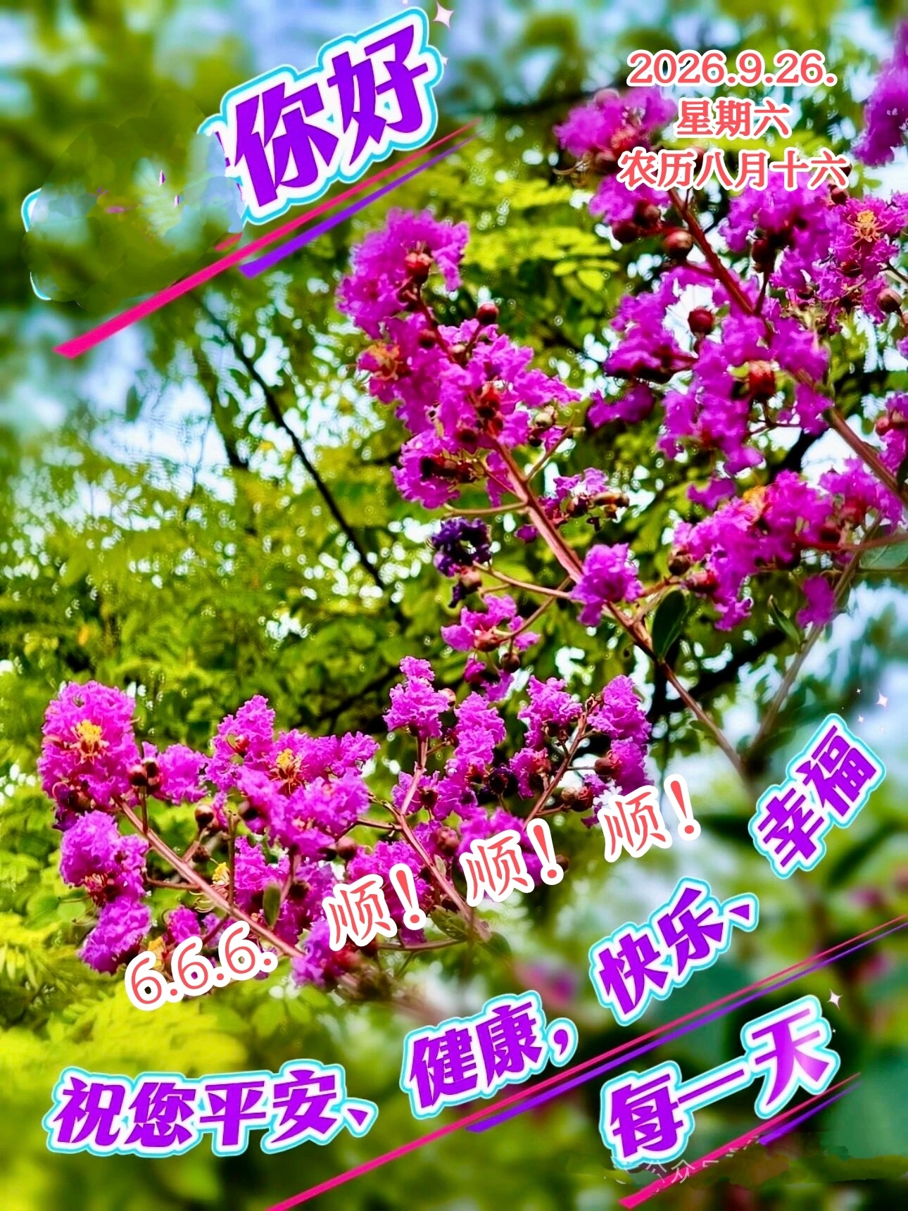 【健康养生💝】1) 秋风未必伤人，怕的是颈部后方的门户没有关好。应对秋凉，关键