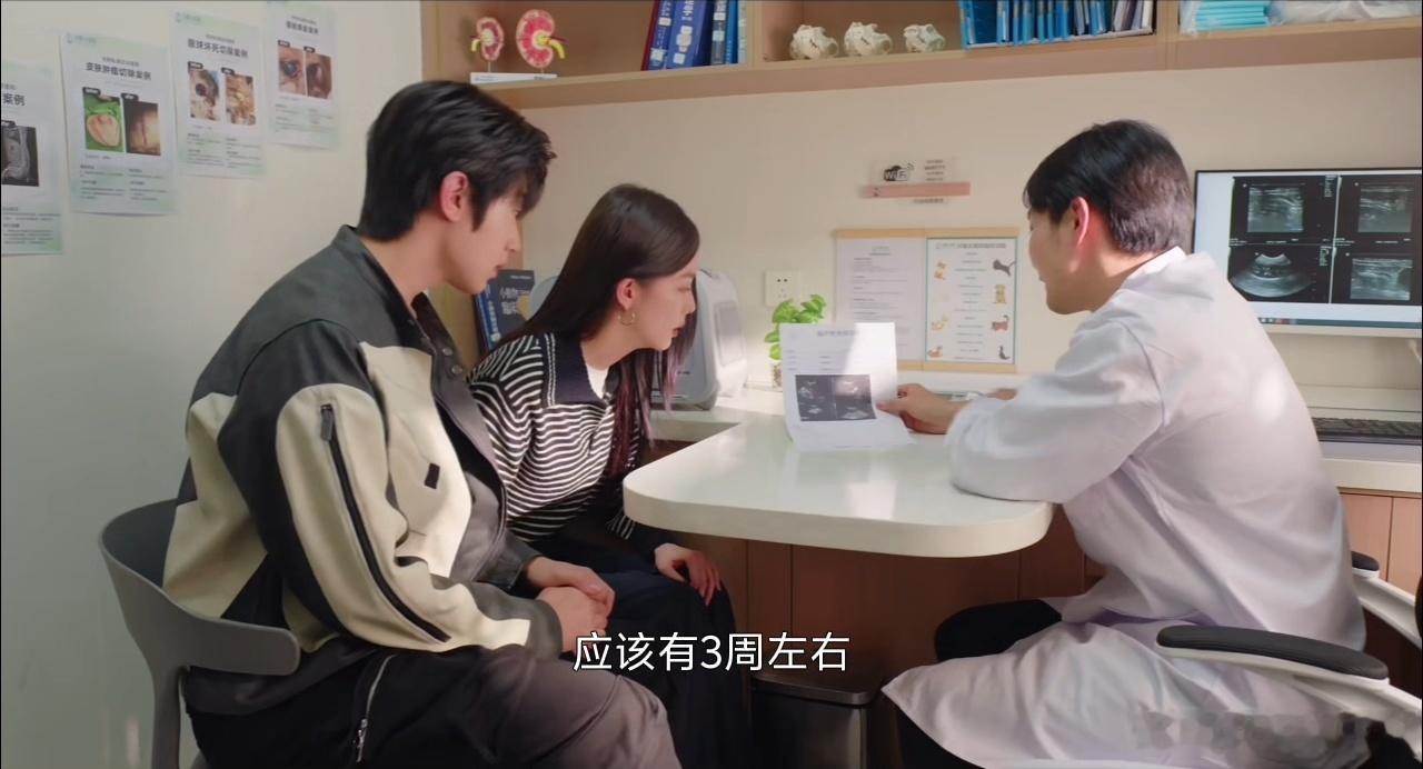 赵尧珂新戏出差家被偷了赵尧珂猫咪怀孕大乌龙这剧主打一个一乌龙接一乌龙。金子怀孕三