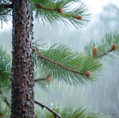 上联:春风悄剪湖边柳;
下联:夏雨强梳山岭松。
 友友对出上联 友友请邀对上联 