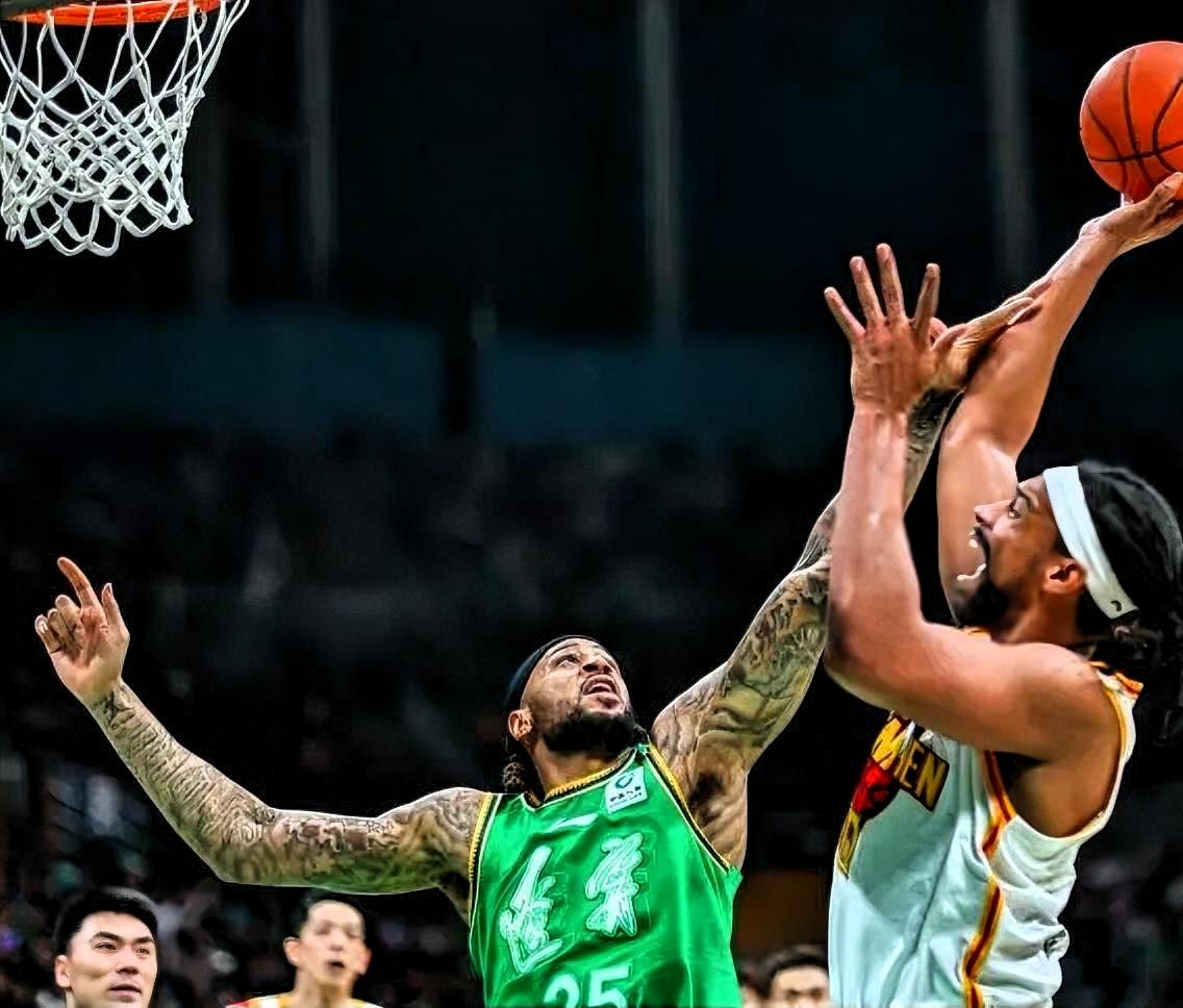 一、防守价值的三重不可替代性
 
- 篮下护筐威慑：身高2.08米、臂展出众，2