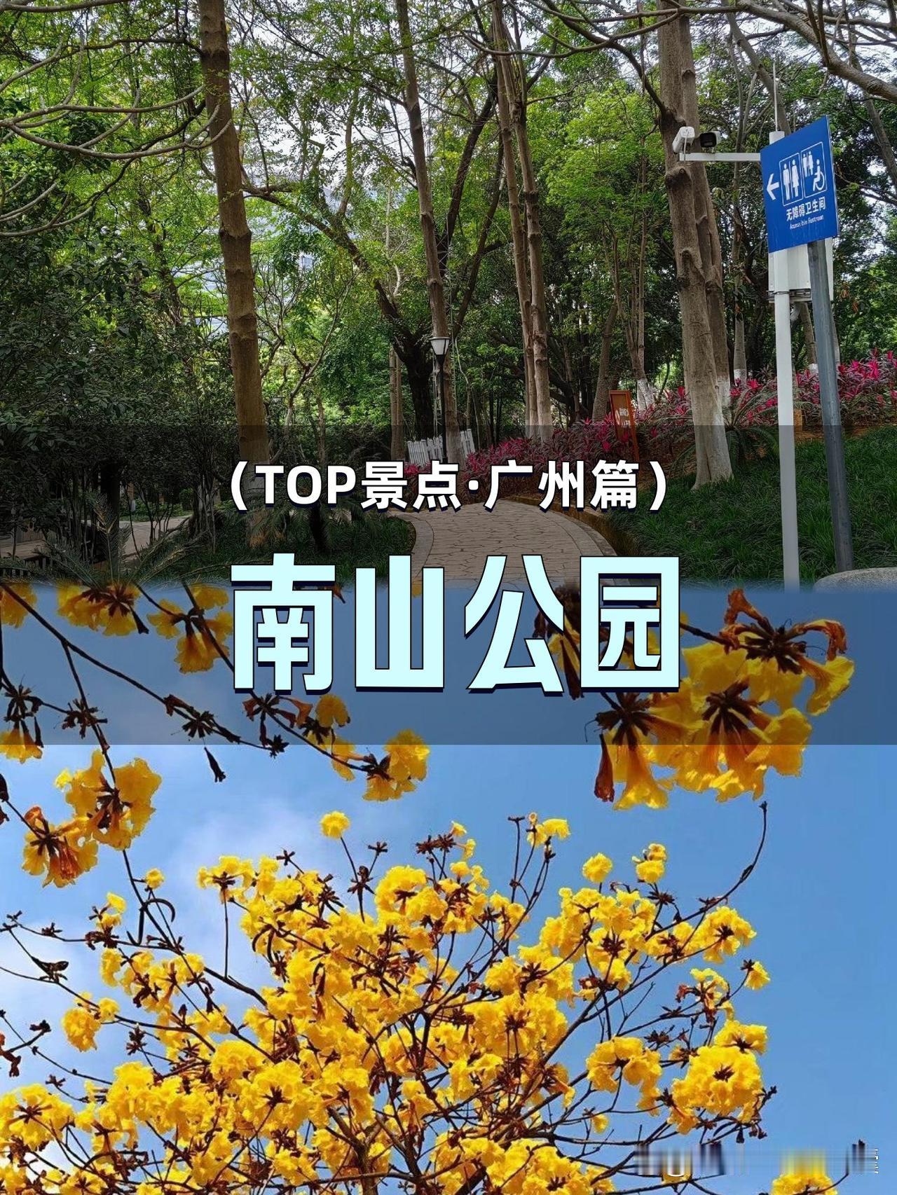 春游必去！解锁南山公园的小众玩法🌸

姐妹们！今天分享一个被我私藏许久的宝藏公
