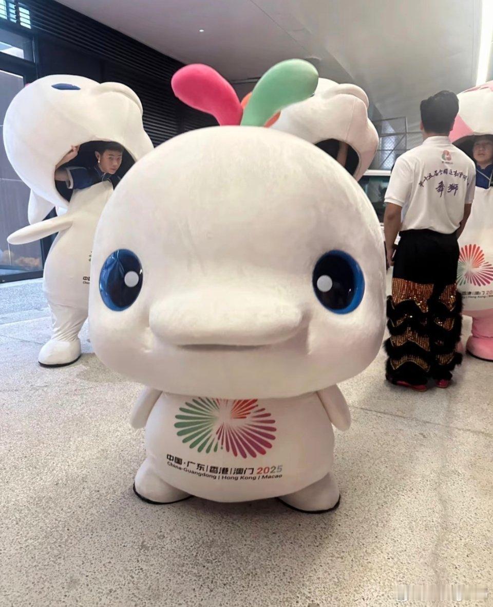 这个大湾鸡真的很可爱工作人员都很会整活感觉吉祥物都变鲜活了 