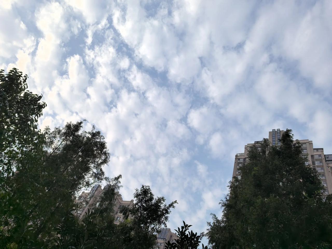 健身器材练起来

今天下午回到市区家里，到楼后边的公共健身区，把所有的健身设施试