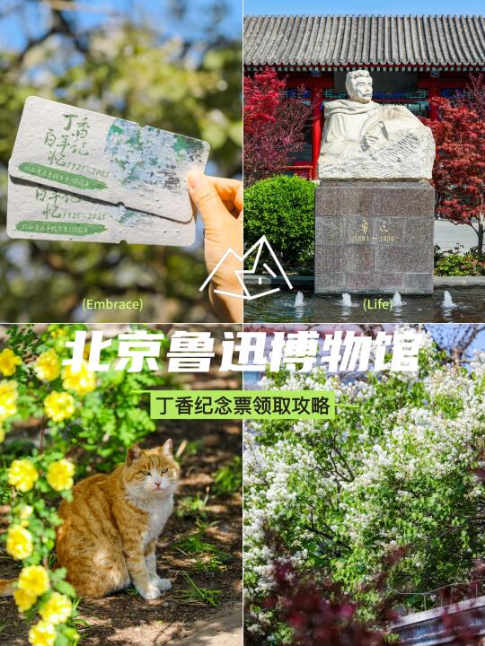 4.10实拍📷鲁迅亲手种的丁香也是被我拍到啦