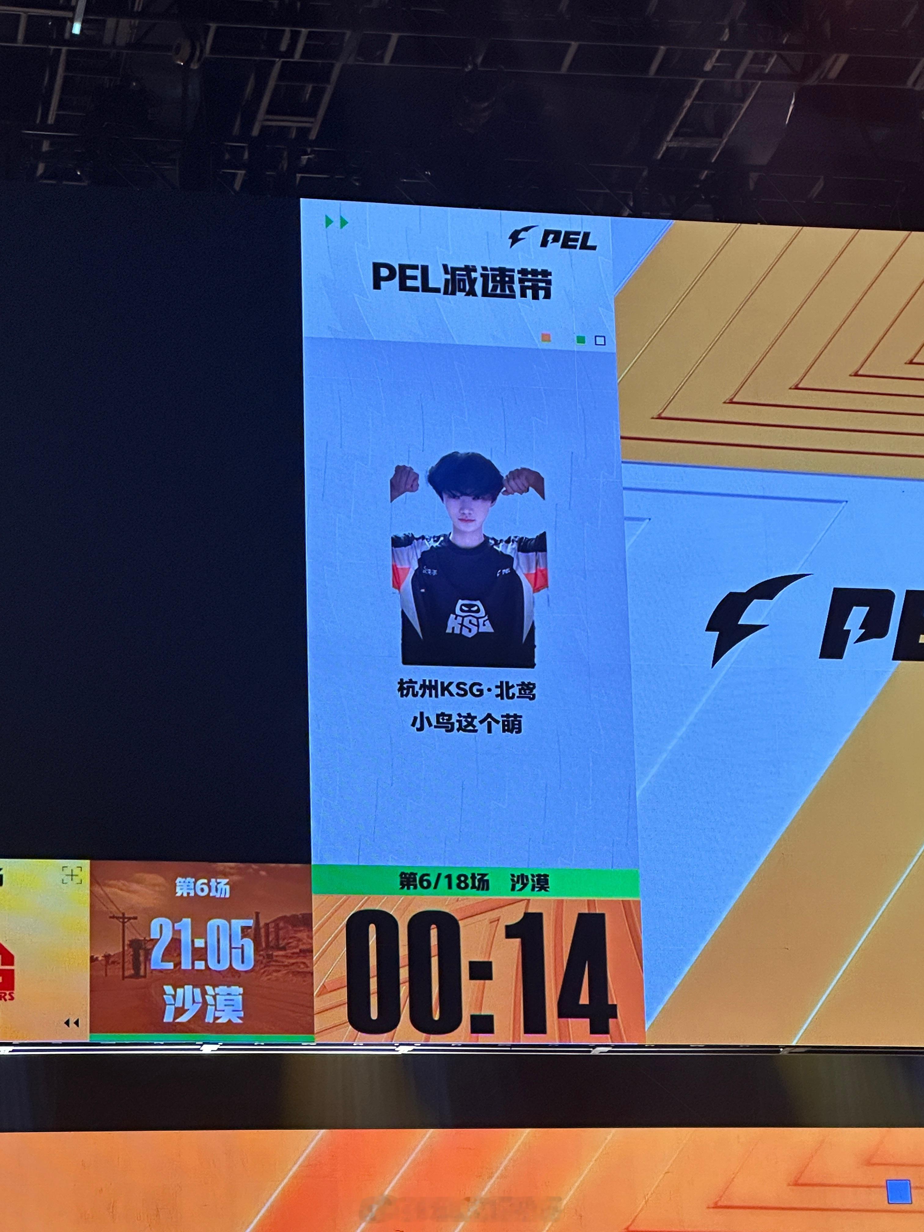 小鸟突然出现PEL第二周周决赛这比赛真够燥的