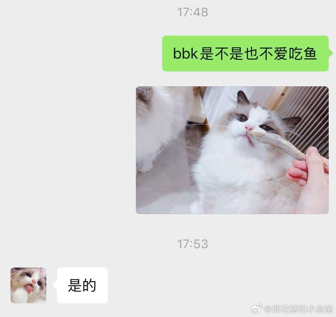 不爱吃的一目了然。冷知识：小猫口味会遗传。 