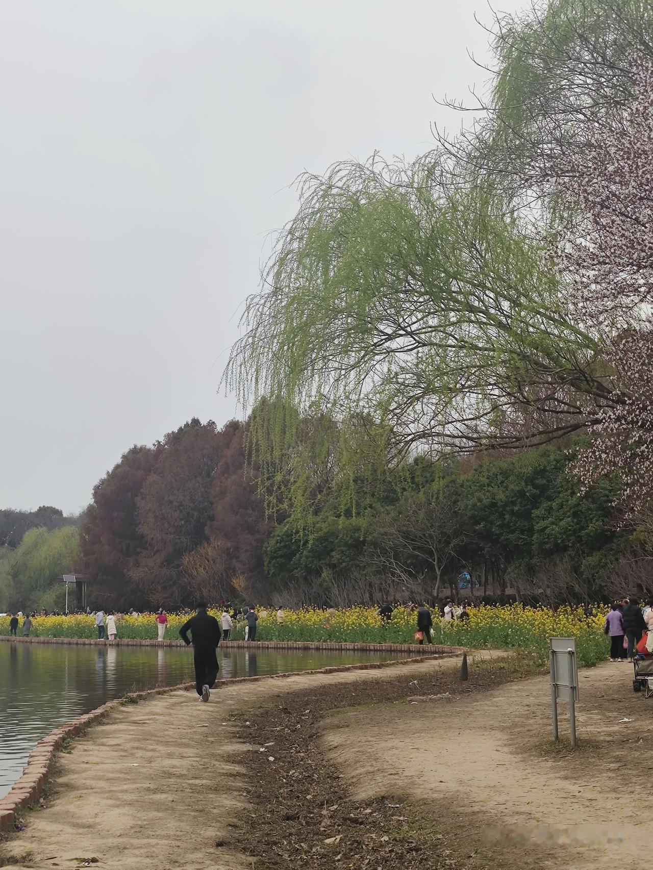 世上有没有神药？究竟在哪里？他们都是亿万富翁，耗资千万，却没能挽回生命。难道就没