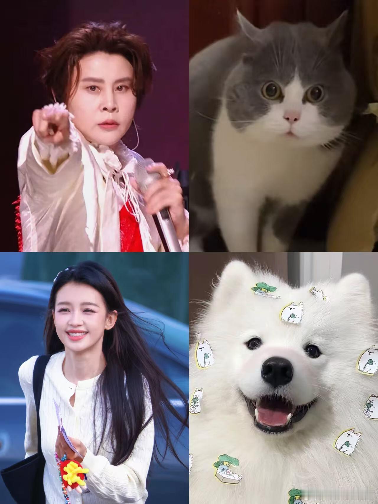 网友们在全力建设浪姐传神塑中哈哈哈哈哈！传神！ 