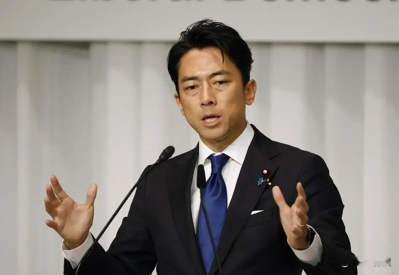 小泉进次郎连落地的机会都没有，大门直接焊死。

倒是给了茂木敏充一条门缝，别误会