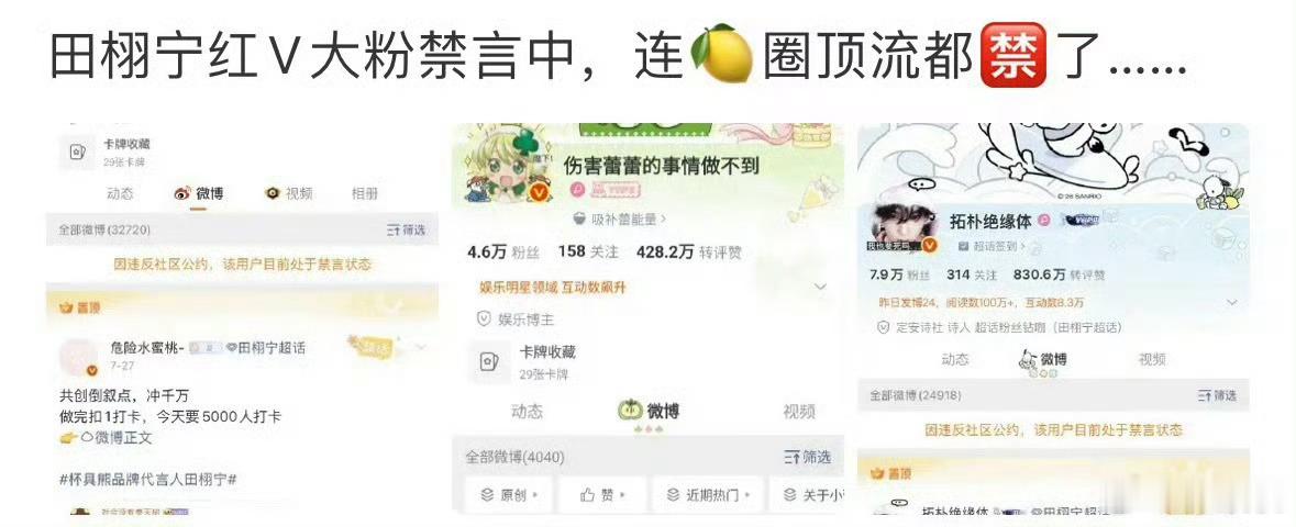 田栩宁家红V大规模喜提禁言心疼宝宝们 
