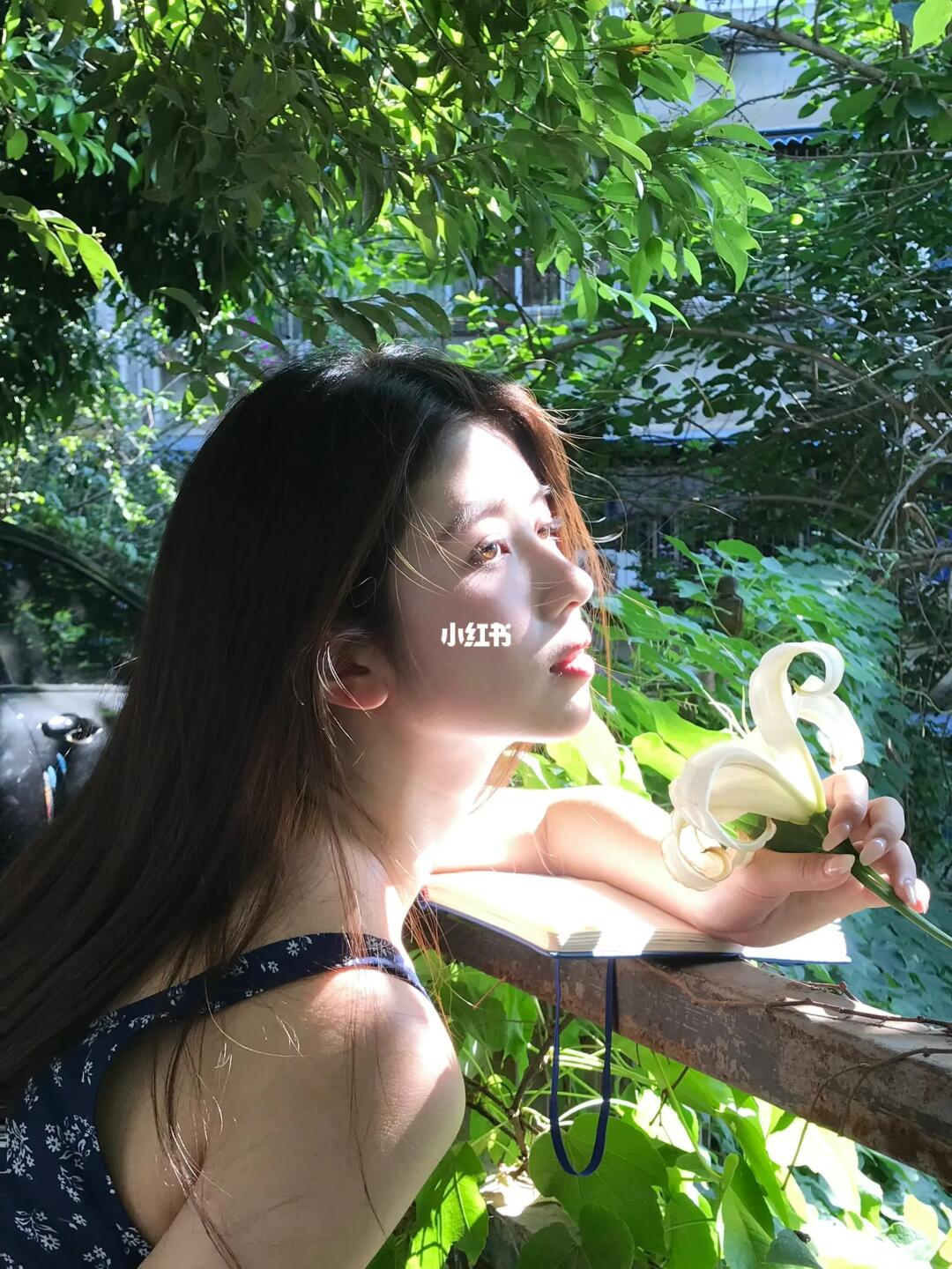 忽而今夏