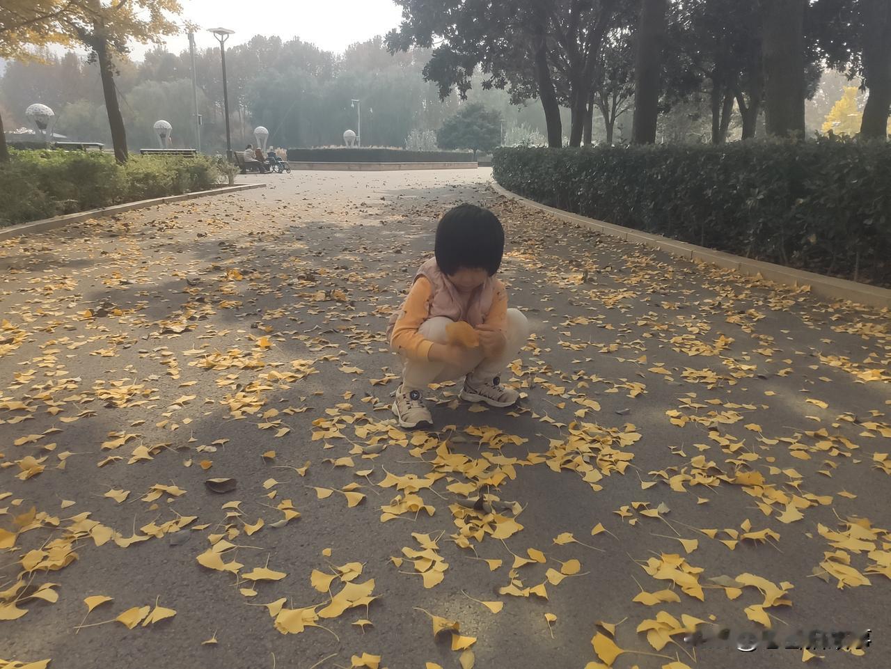 捡拾金秋的女孩儿……