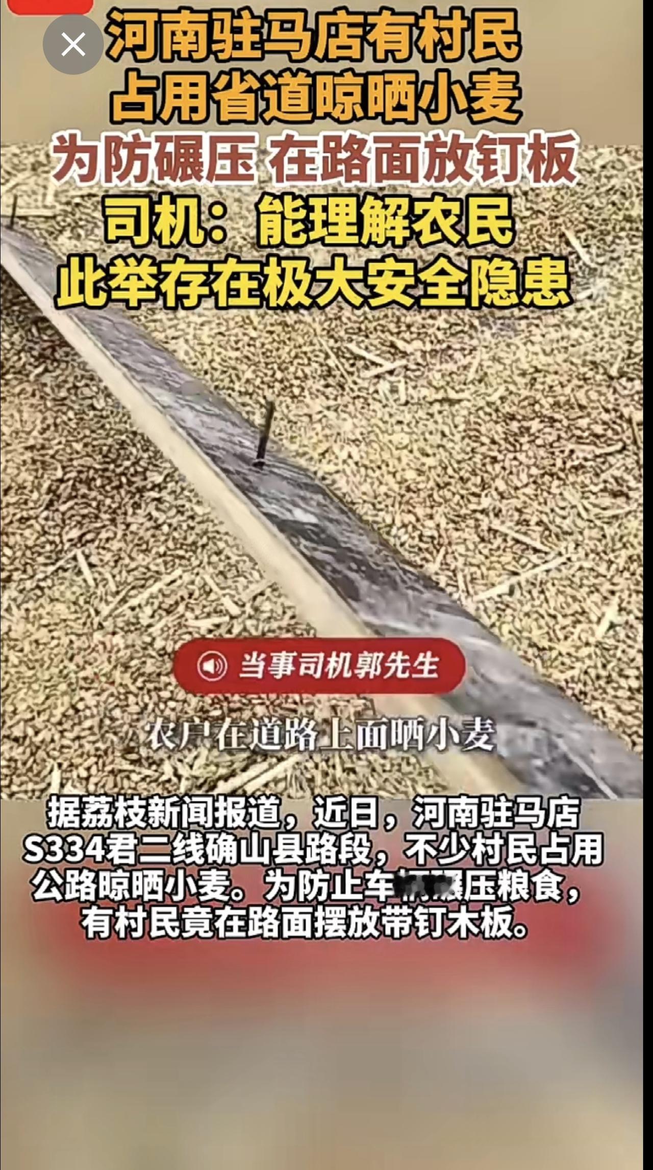 河南驻马店有村民占用省道晾晒小麦，为防碾压，在路面放钉板，司机：能理解农民，此举