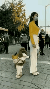 女士把小狗当小宝宝养，调教小狗学人直立行走，小模样引来路人好奇。这人咋那会享受呢