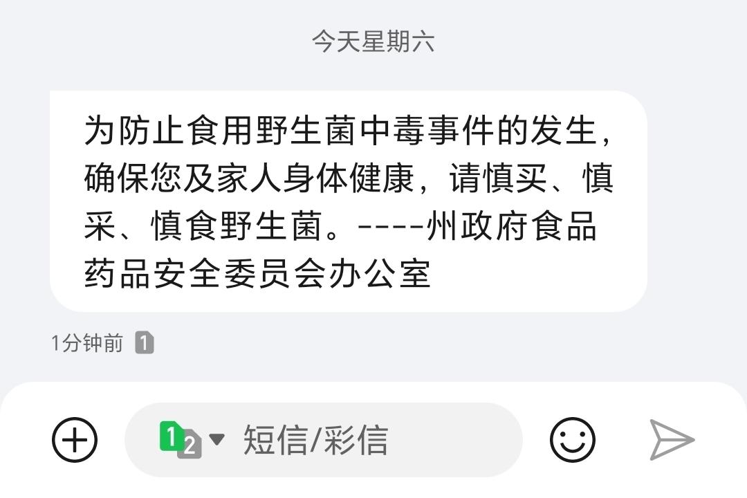 政府来通知了，一会去找蘑菇去！同去的扣1#吃菌防中毒 #野生菌