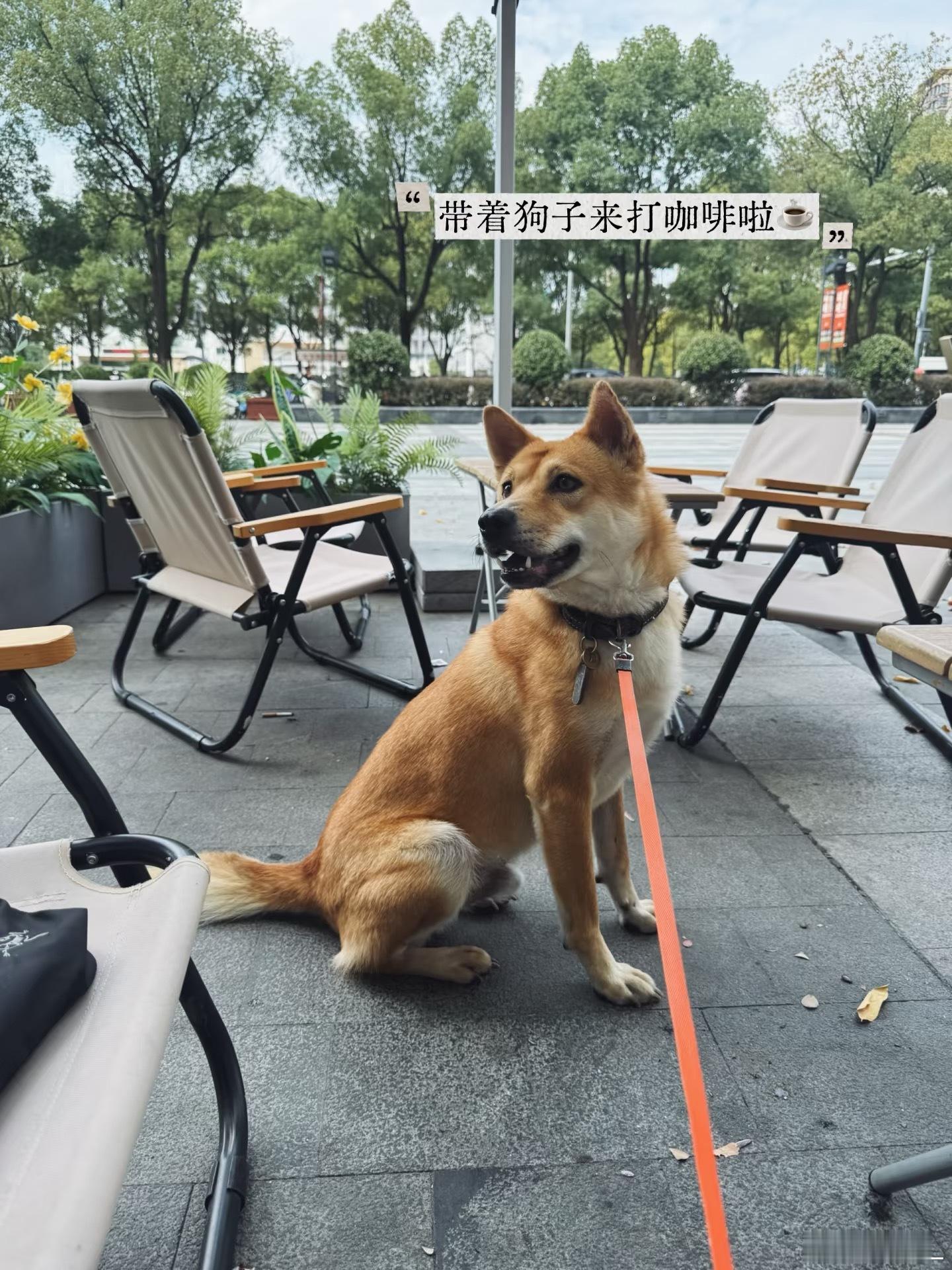 日常  出差前一天的周末日常 