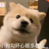 陈闲聚聚音乐