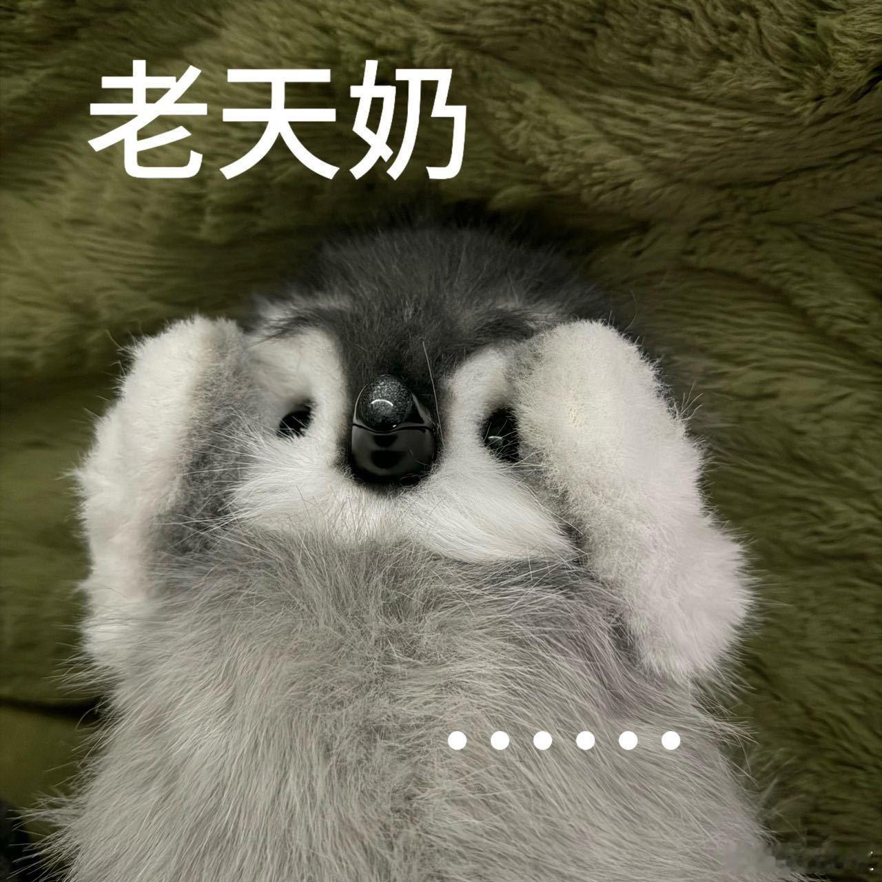 废话多语速慢不看了[允悲][允悲]，不过我出行也要这么带吗？？？这能看得清啥，有