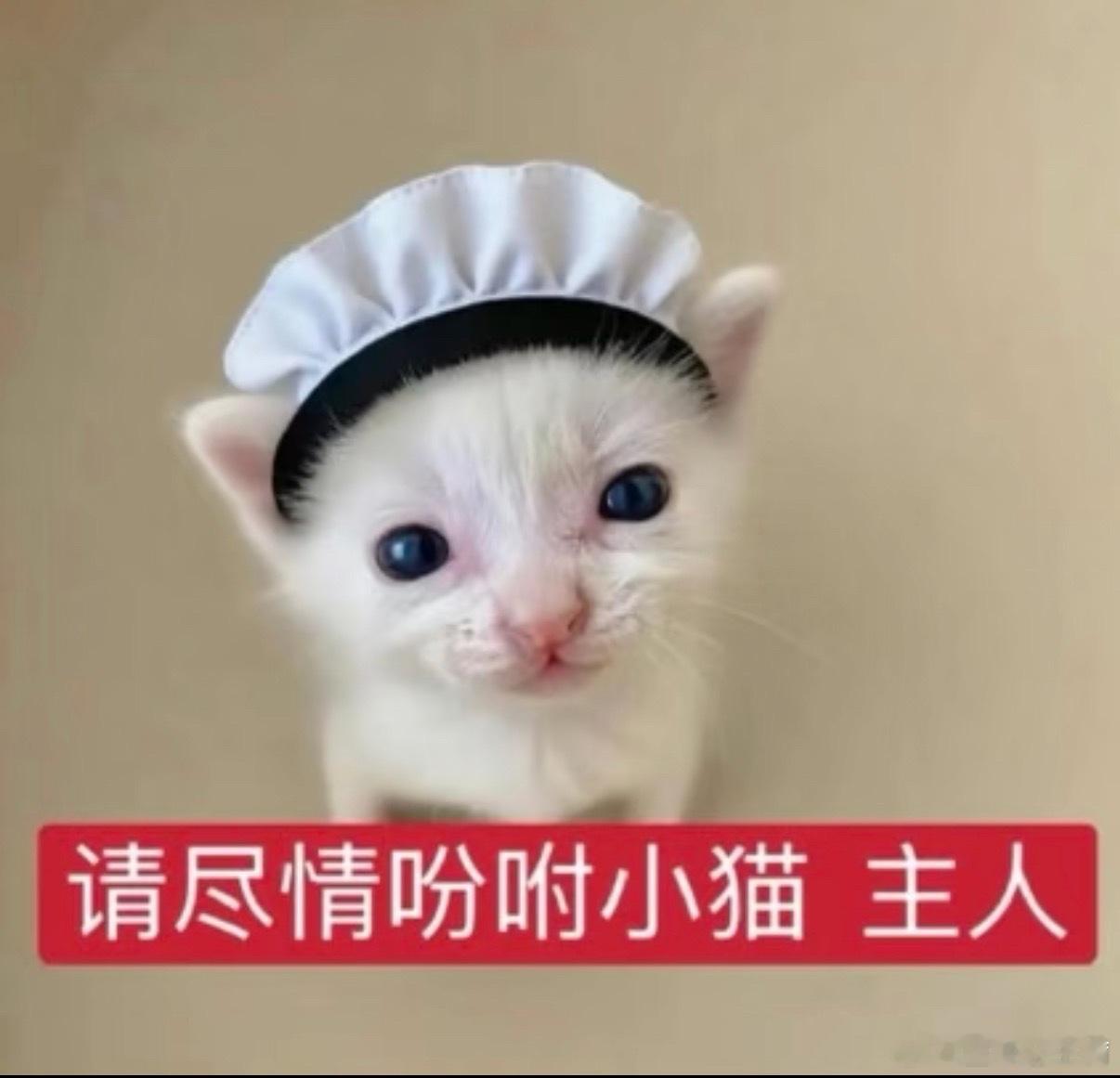 你们能看到我点赞特效吗 真！的！超！可爱呀！ 