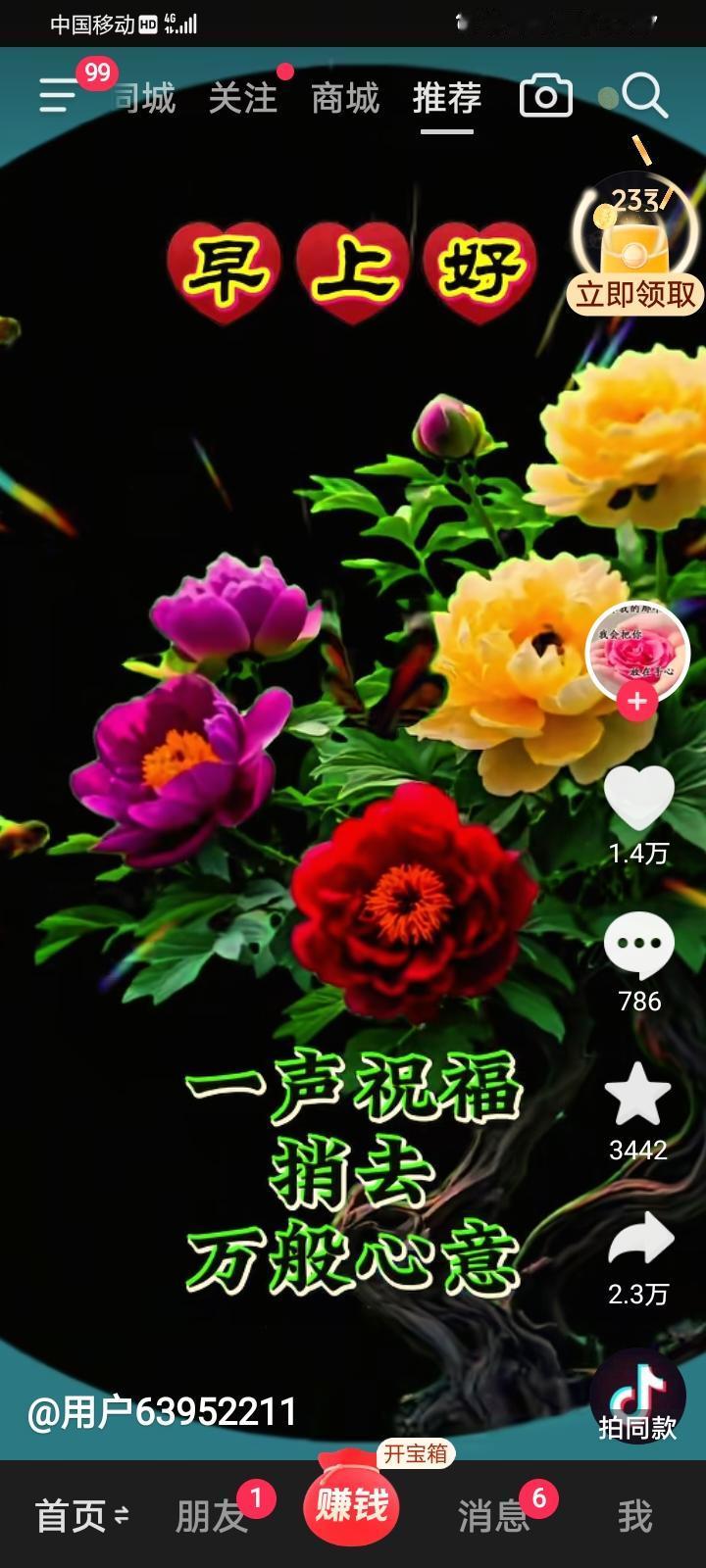 相册里的花花草草这些鲜花真是美丽令人陶醉了！