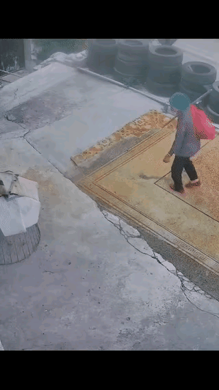 这么大个狗不拴绳，养狗的人绝对有毛病，虽然她把这只狗控制住了，没有咬到这个老人，