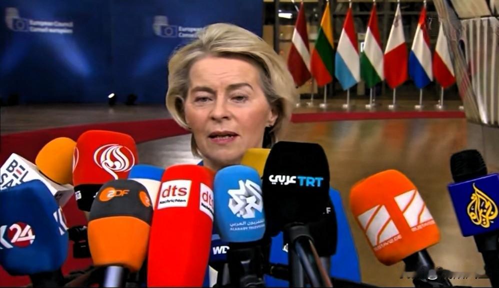 欧盟27位领导人今天齐聚布鲁塞尔，将做出一项可能重新定义欧洲大陆安全架构的决定：