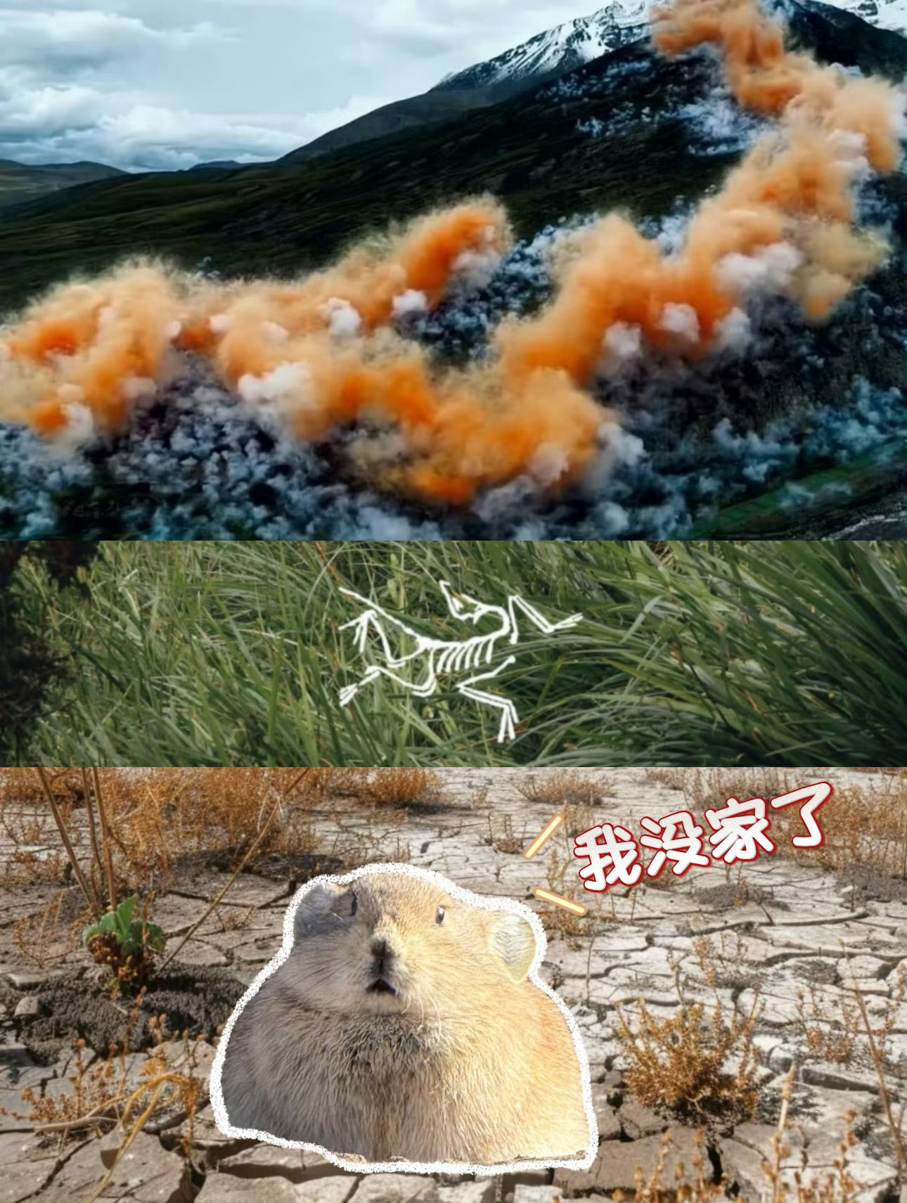 官方通报蔡国强烟花秀希望最后不要让我反思，我啥也没干。始祖鸟没穿，烟花没看，喜马