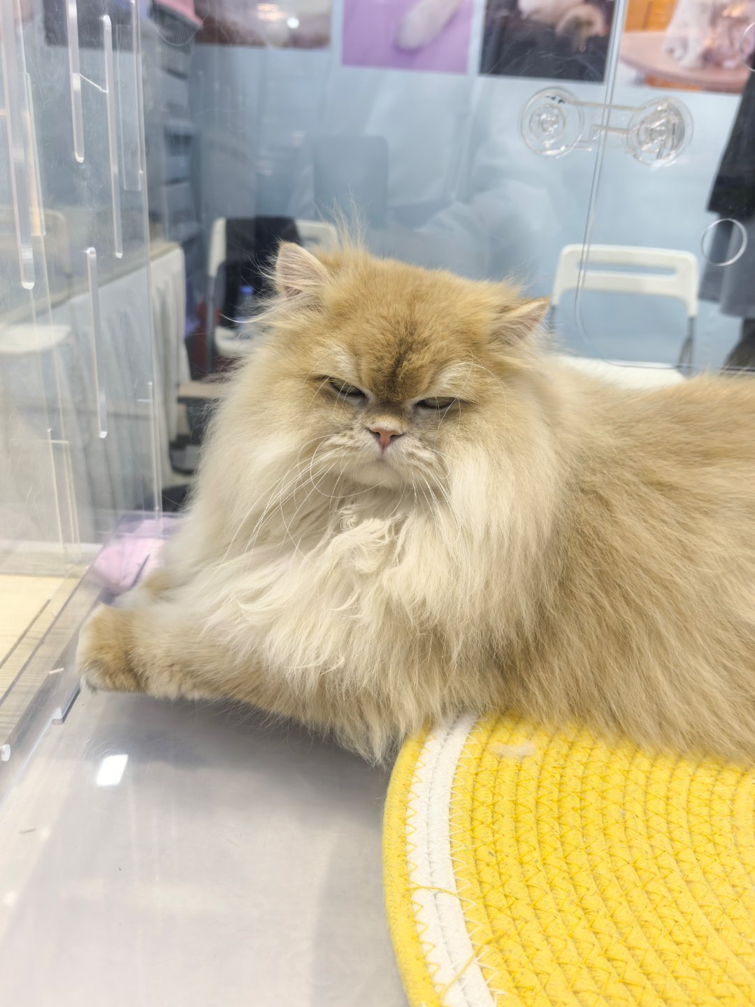 什么是人上人？1、家中：没病人2、狱中：没亲人3、身边：没小人4、办事：没仇人5