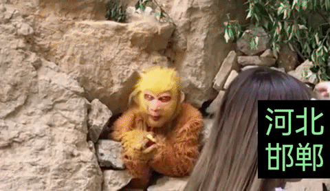 网传河北邯郸一景区6000元每月，招聘若干人扮演孙悟空，主要工作是趴在洞里吃东西