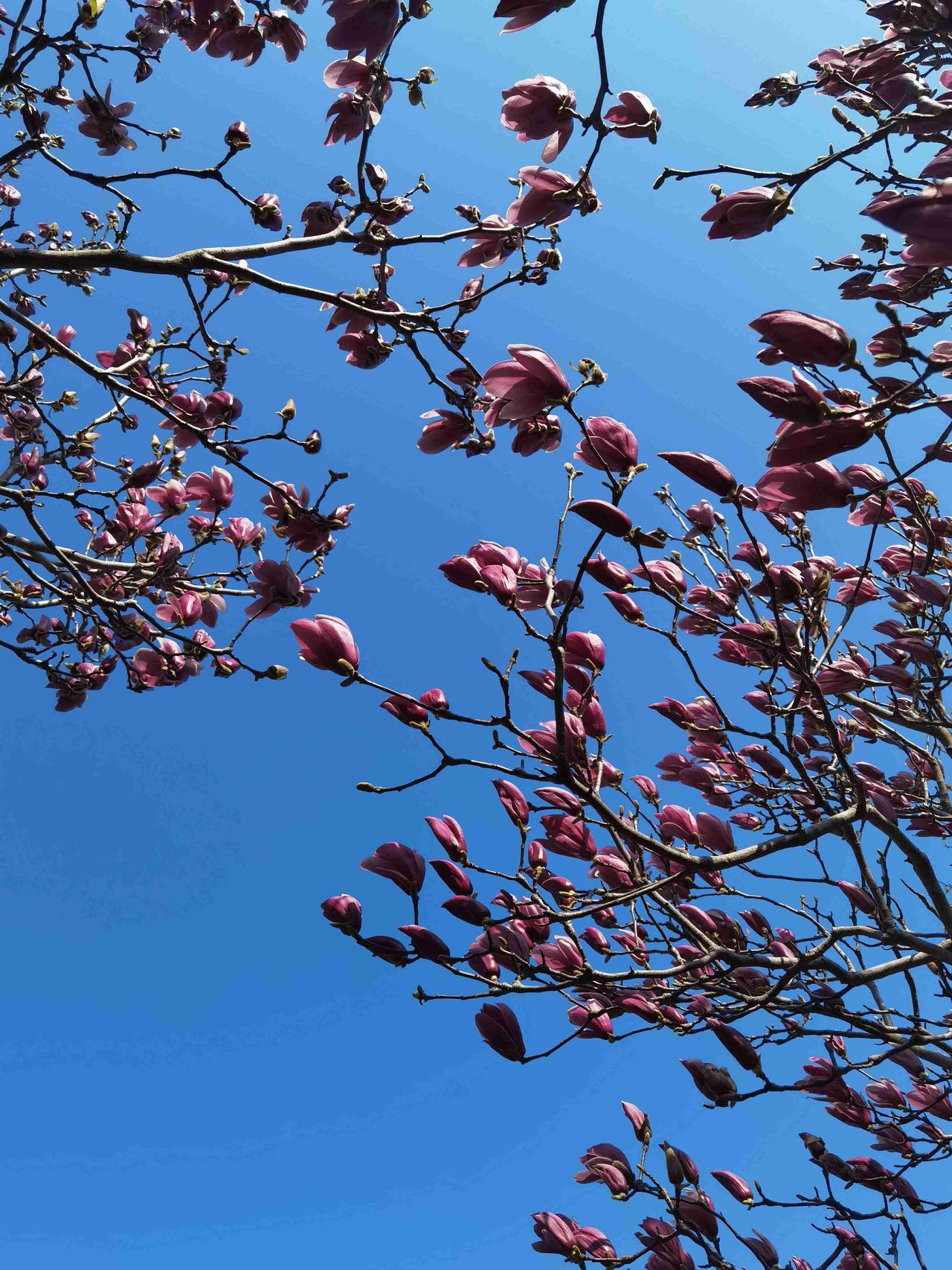 我的今日状态：💰期待暴富
我这里的天气：☀️晴天
忙碌的一周终于落幕，愿你在这
