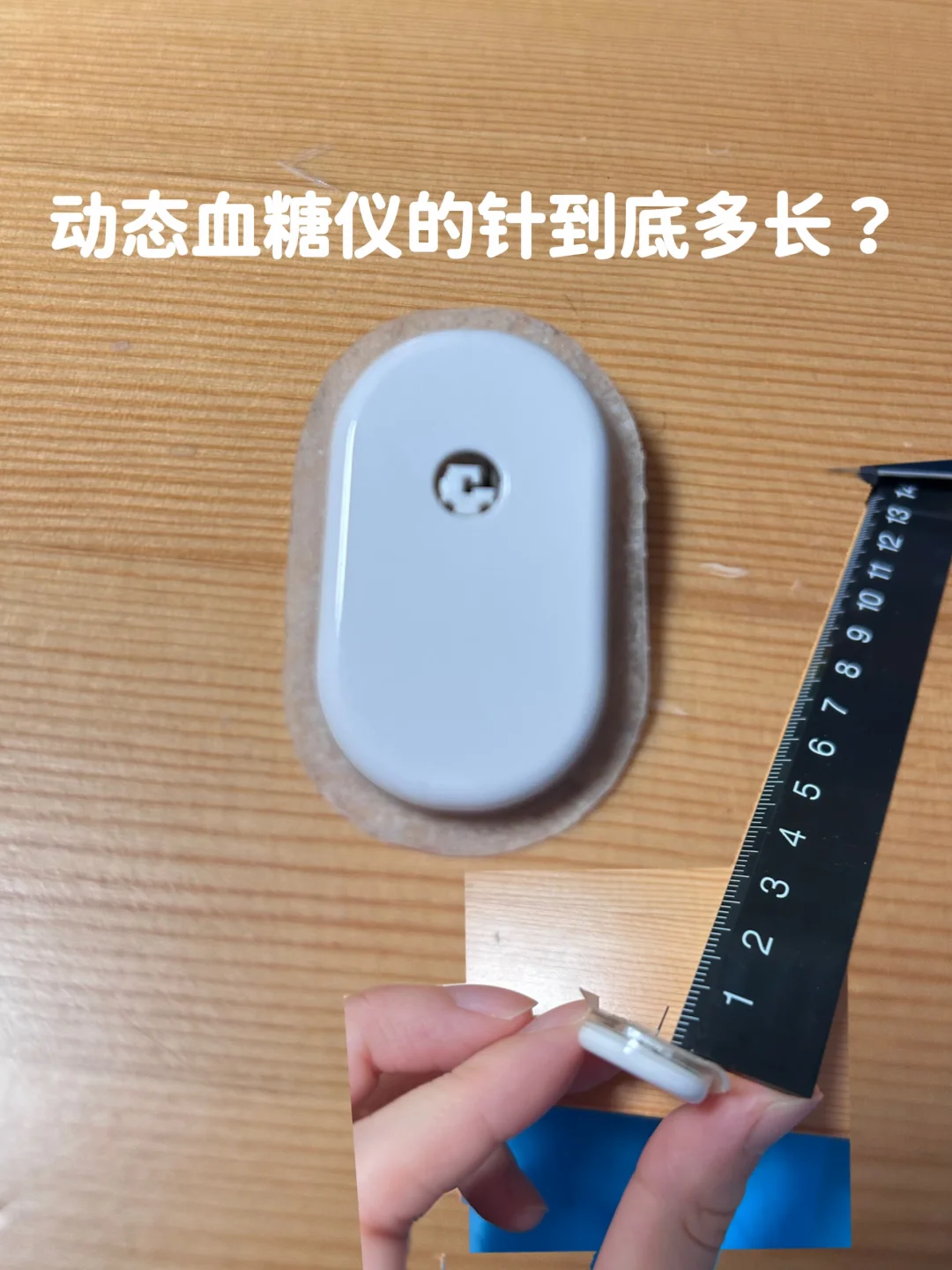 动态的针究竟什么样子的