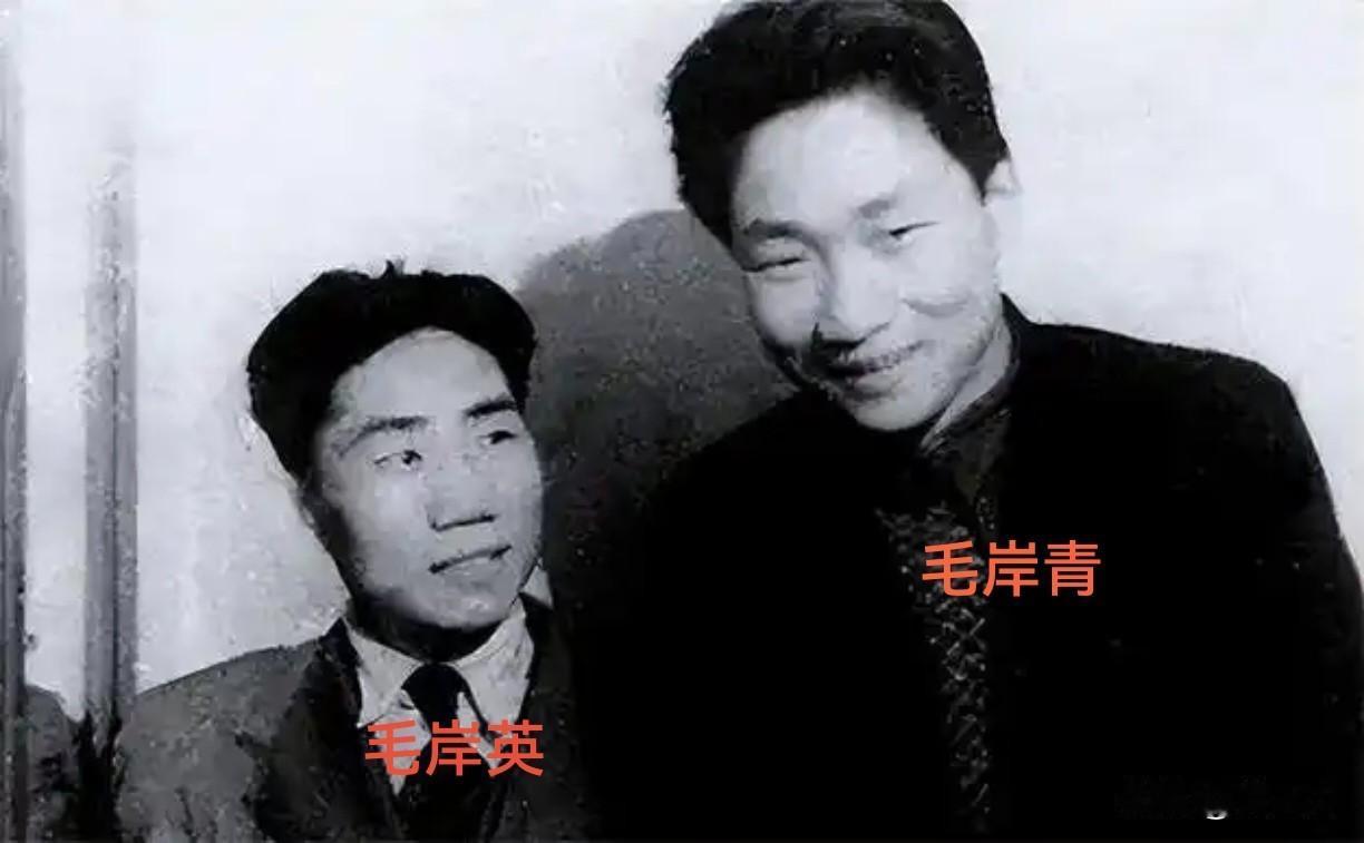 毛岸英与毛岸青在苏联艰难岁月里相依为命的真实记录
 
少年历尽风霜，他乡手足情深