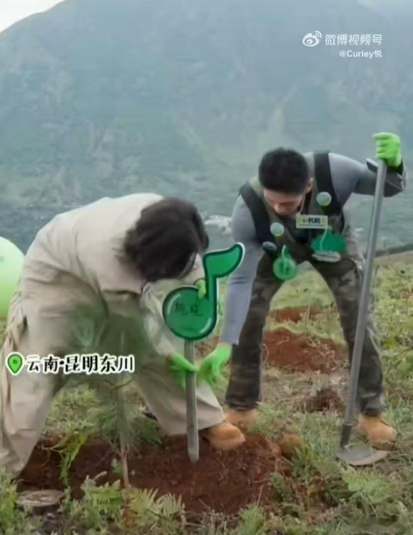 希林娜依高种树使不完的牛劲种树现场的希林娜依高也太拼了！挥锹铲土、扶正树苗一气呵