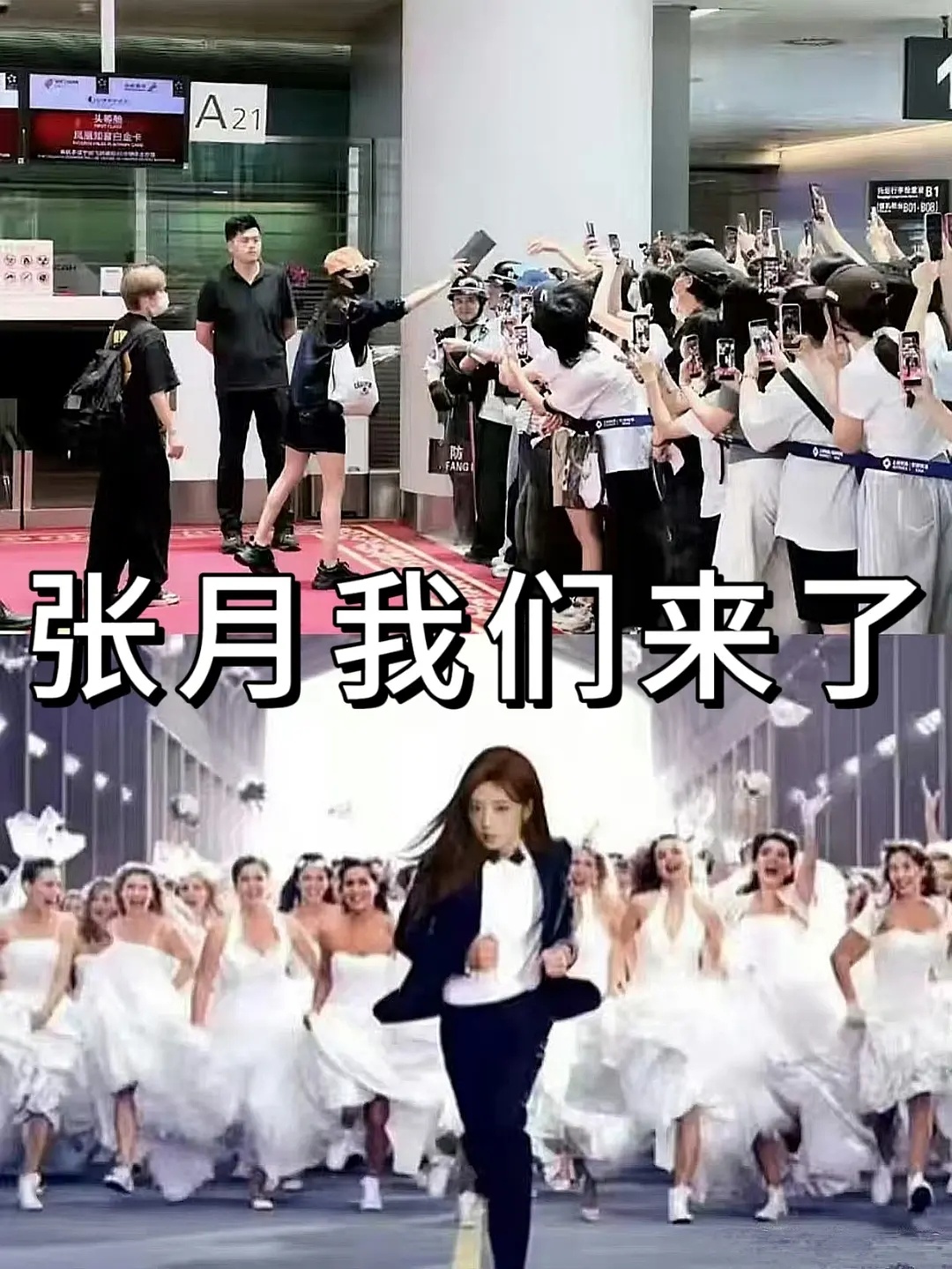 我真的笑的不行了 