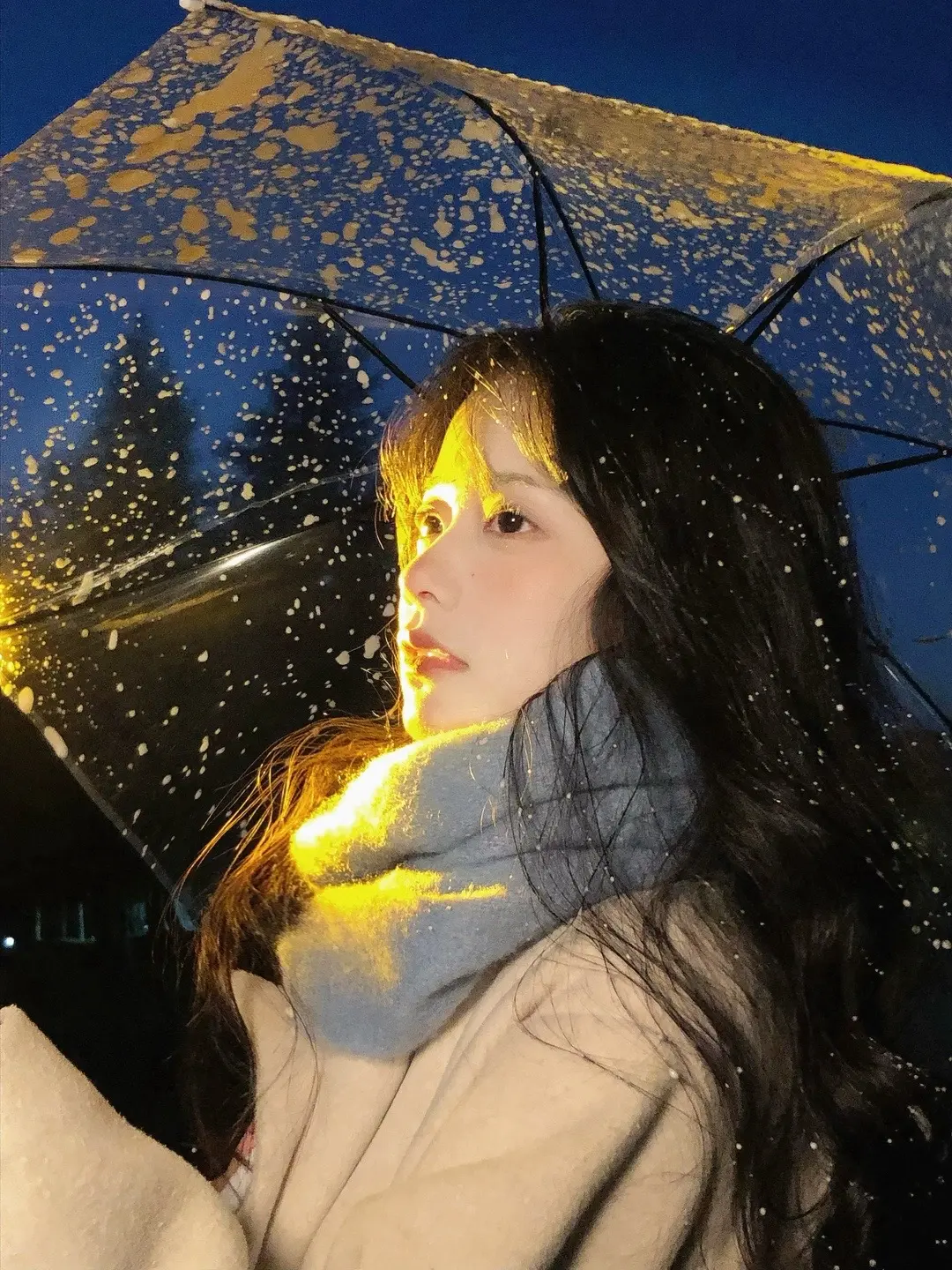 ❄️｡𝒮𝓃ℴ𝓌 𝒻𝒶𝓁𝓁.