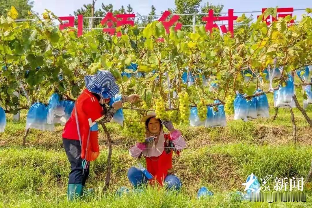 一个农村在读研究生的出路在哪里? 作为农村在读研究生，出路其实挺多的。就说国家对