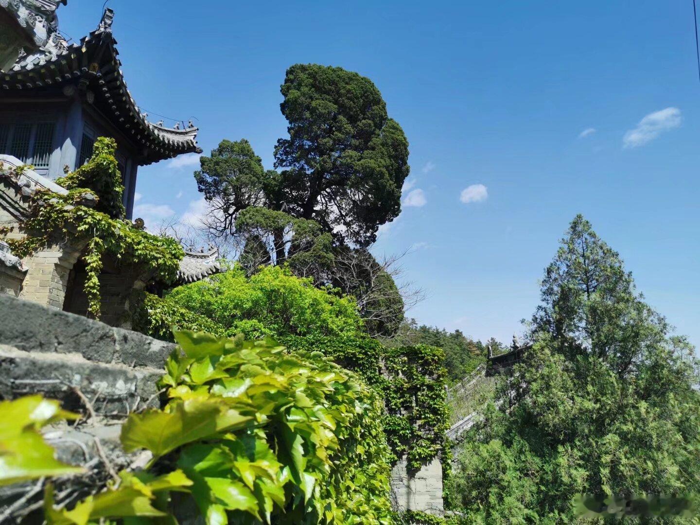 八仙上座率第一看完国风神话， 再看辽宁大孤山， 会觉得这里真的很适合放进暑期清单