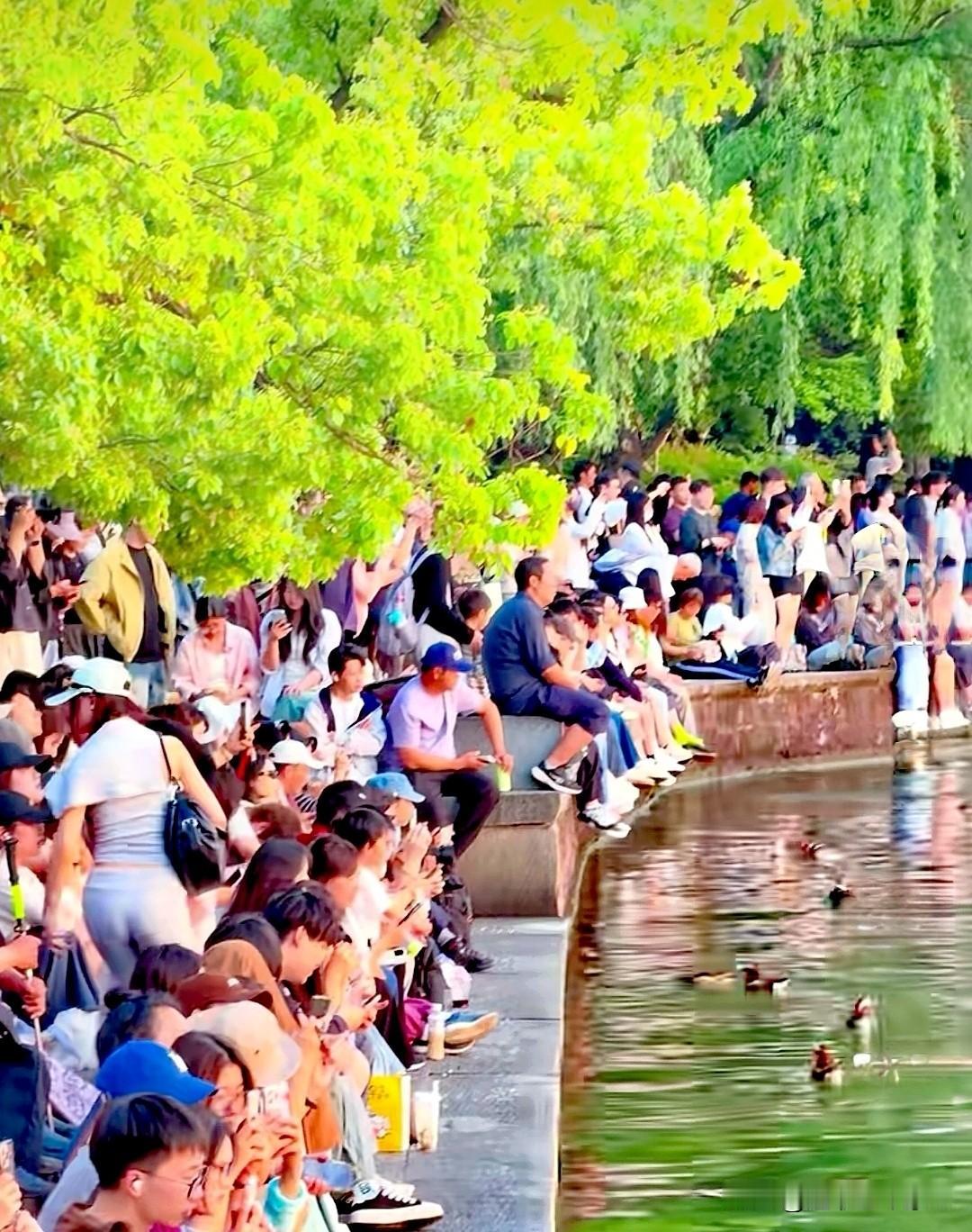 在杭州湖滨公园观赏夕阳西下，是体验西湖“城湖一体”魅力的绝佳方式。‌集贤亭周边‌