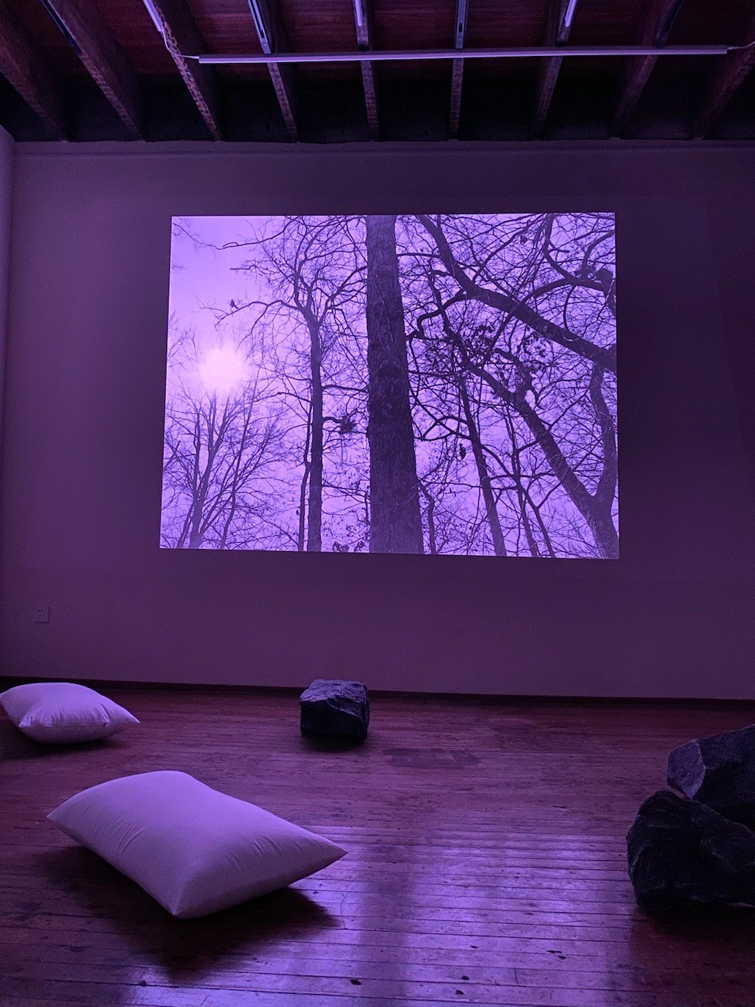 出门散步，看了一个展，叫“石头汤”，然后下起了雷雨，我就汤汤滴了今日乱逛