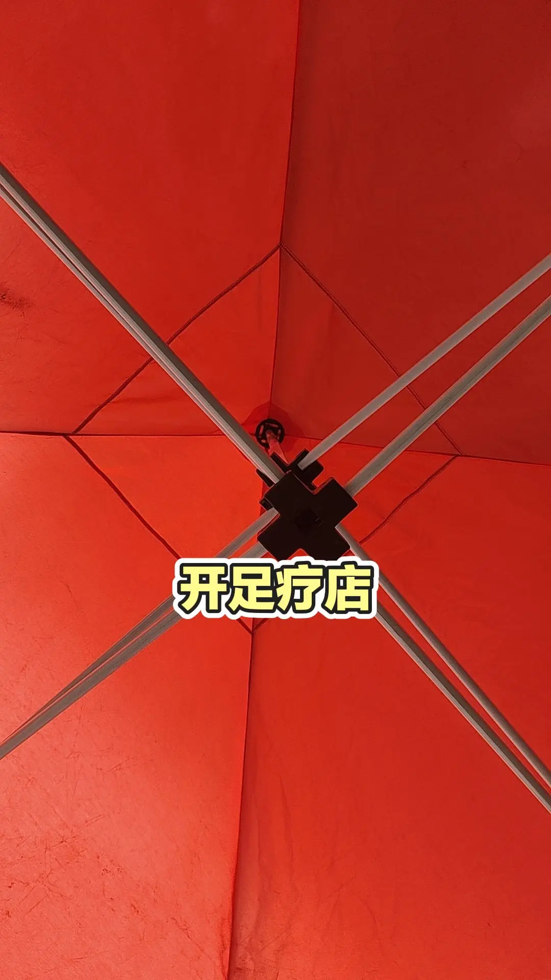 每日分享