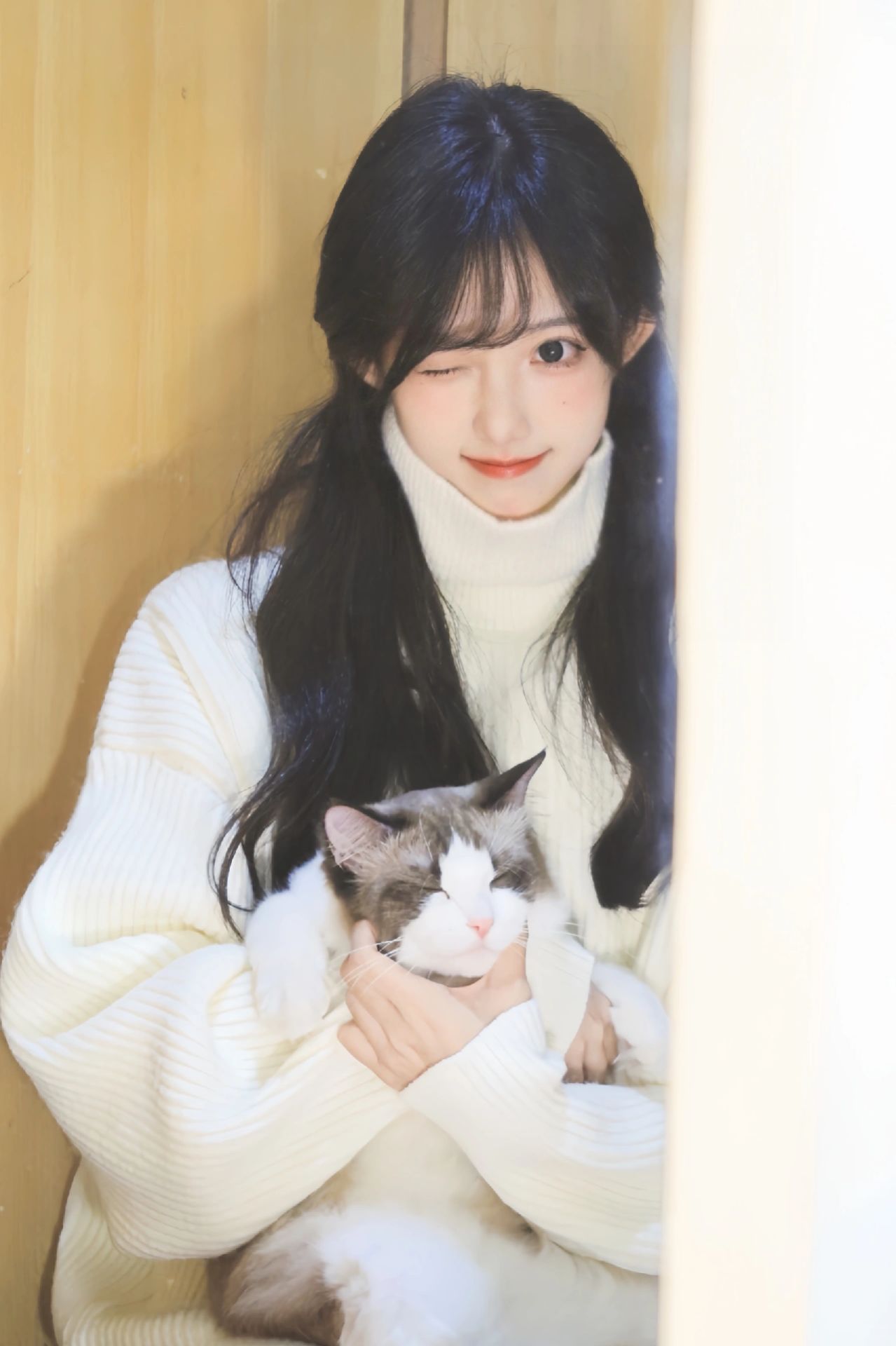 做我的猫🐈