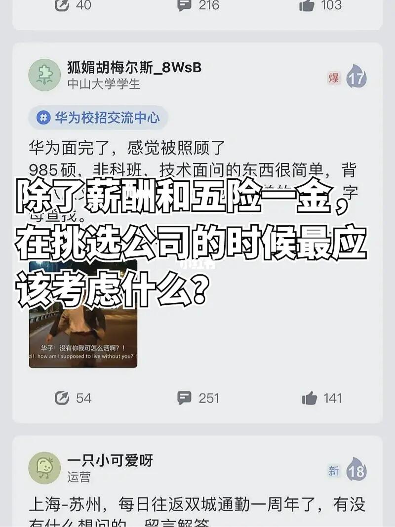 ✅这几招帮你找到神仙公司！