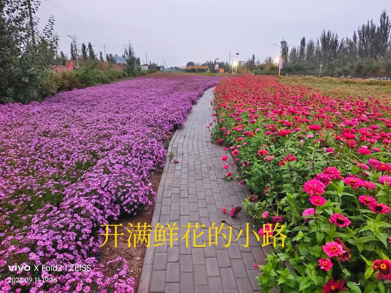 连日阴雨，傍晚雨停了，出来散步透透气，呼吸一下自由的空气。漫步在开满鲜花的小径上