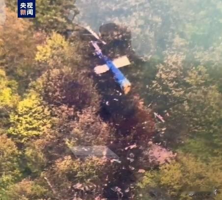 #伊朗总统及外长在直升机事故中罹难##伊媒称伊朗总统直升机撞山坠毁#

伊朗过度