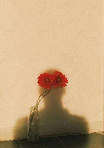 如果一个人水平很高混的却一般大概率是因为人品不错——王朔 我的私人宝藏书单 书评