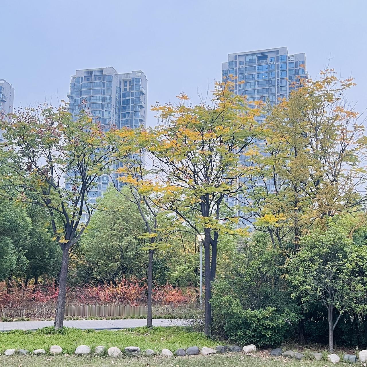 白龟湖湿地公园